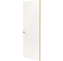 Witte binnendeur met houten rand en metalen deurklink