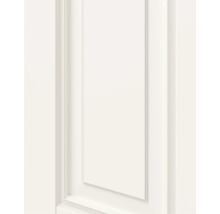 Witte binnendeur met cassetdesign en profielframe voor modern interieurontwerp