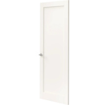 Witte binnendeur met eenvoudig kaderprofiel en zilverkleurige deurkruk in moderne uitstraling.