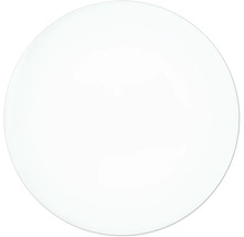 Een rond, glad wit bord van porselein.