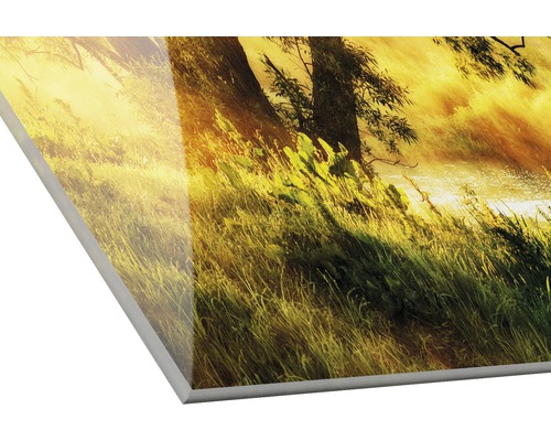 Decoratieve plaat met een landschapsmotief van gras, bomen en een rivier