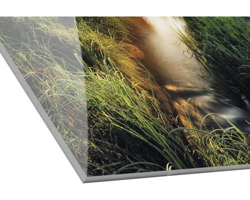 Acrylglasfoto met een beekje in het gras