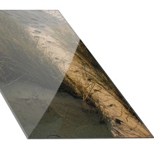 Decoratieve tegel met gras- en zandmotief