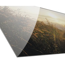 Acrylglasfoto met landschapsmotief