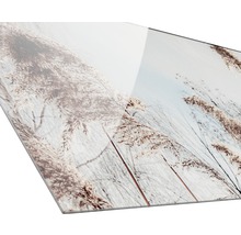 Acrylglasfoto met rietmotief