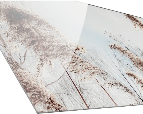 Acrylglasfoto met rietmotief