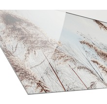 Close-up van een acrylglasplaat met grassen