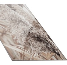Decoratieve plaat met afbeelding van riet