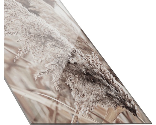 Decoratieve plaat met afbeelding van riet