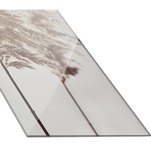 Decoratieve glasplaat met rietgras motief