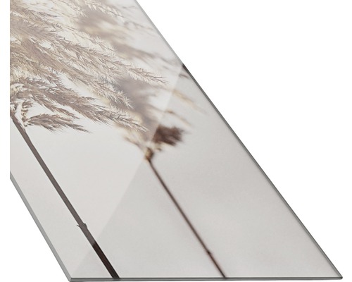 Decoratieve glasplaat met rietgras motief