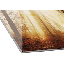 Decoratieve plaat met bosmotief en zonnestralen