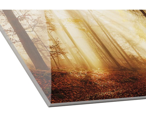 Decoratieve plaat met bosmotief en zonnestralen