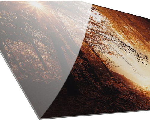 Close-up van een bosmotief op een acrylglasplaat
