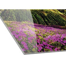 Acrylglas foto met bloemenweide en berglandschap