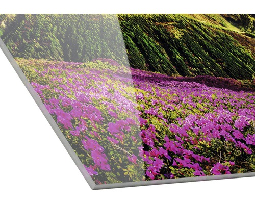 Acrylglas foto met bloemenweide en berglandschap