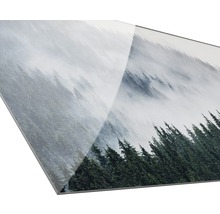 Close-up van een glazen plaat met opdruk van een bosmotief in de mist