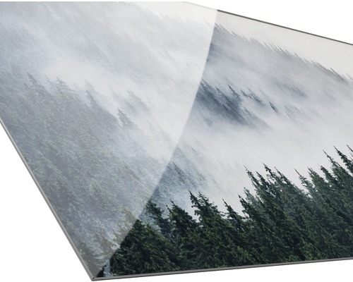 Close-up van een glazen plaat met opdruk van een bosmotief in de mist