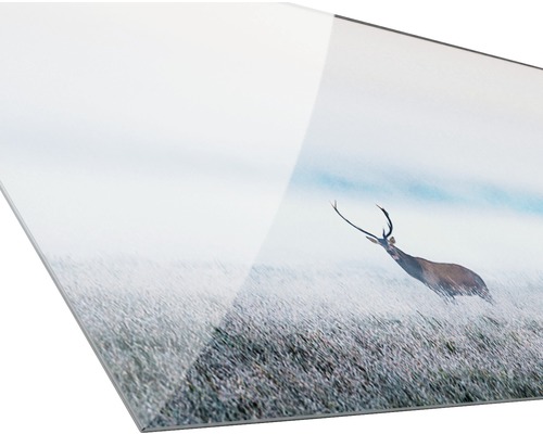 Acrylglas schilderij met hertenmotief in een veld