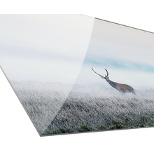 Acrylglasfoto met hertmotief