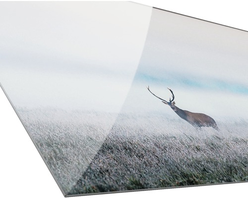 Acrylglasfoto met hertmotief