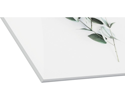 Acrylglas foto met eucalyptus motief
