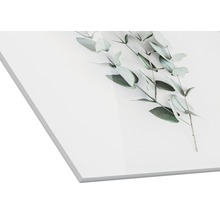 Acrylglas foto met eucalyptus motief