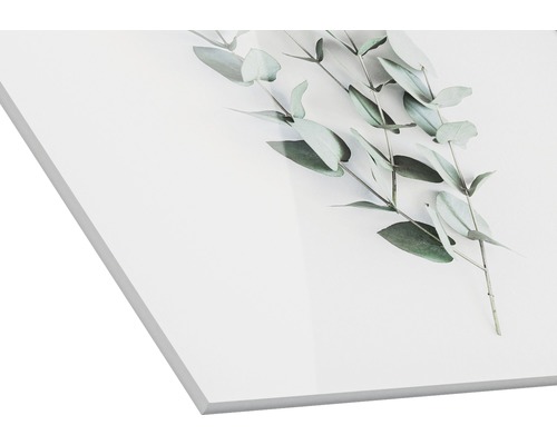 Acrylglas foto met eucalyptus motief