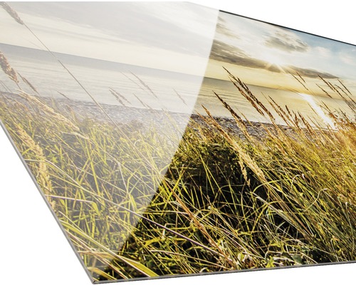 Acrylglas foto met afbeelding van gras aan het meer
