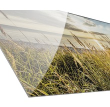 Acrylglasfoto met helmgras en uitzicht op zee