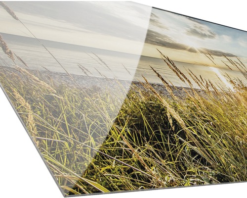 Acrylglasfoto met helmgras en uitzicht op zee