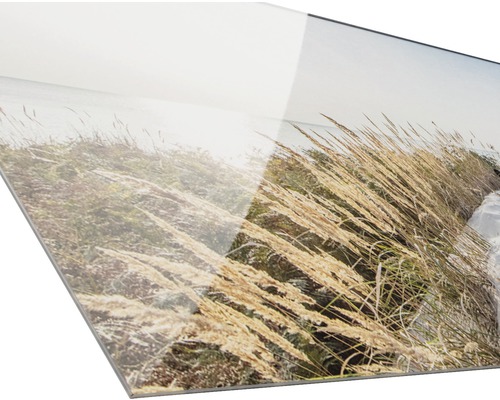 Acrylglas schilderij met grassen