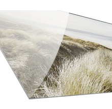 Acrylglasfoto van een duinlandschap met grassen