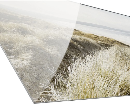 Acrylglasfoto van een duinlandschap met grassen