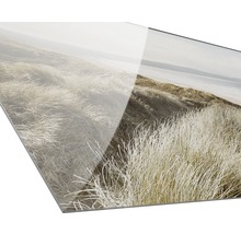 Acrylglas schilderij van een duinlandschap