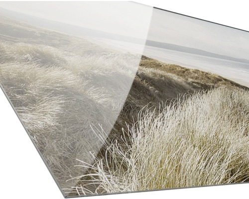 Acrylglas schilderij van een duinlandschap