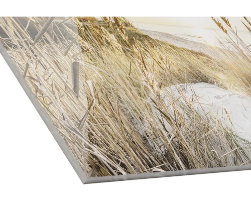 Acrylglasfoto met helmgras motief
