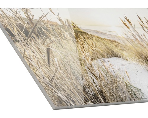 Decoratieve plaat met helmgras-motief