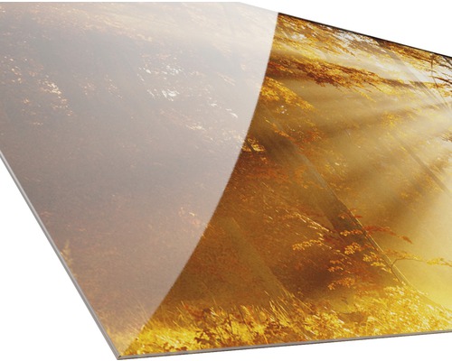 Alu-Dibond plaat met bosmotief