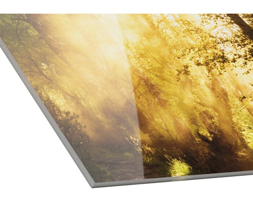Acrylglas schilderij met bosmotief en zonlicht