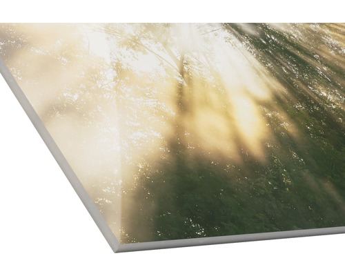 Decoratieve plaat met bosmotief en zonneschijn