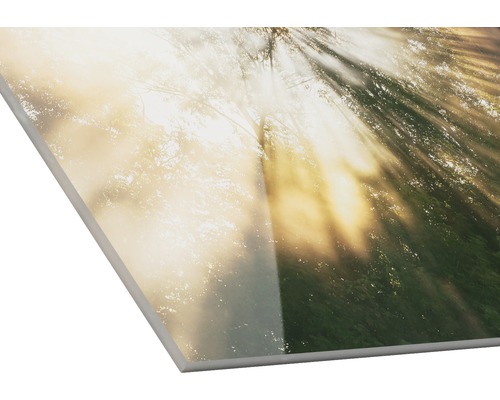 Decoratieve plaat met bosmotief en zonneschijn