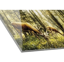 Wanddecoratie met hertenmotief voor interieur