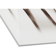 Acrylglasplaat met gedrukt motief