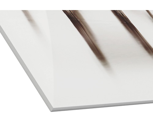 Acrylglasplaat met gedrukt motief