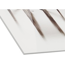 Witte draagplaat met fotoprint