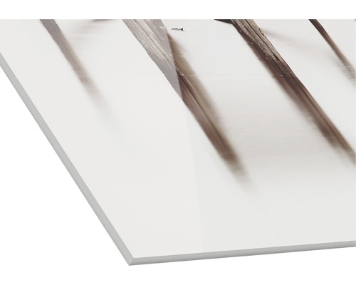 Witte draagplaat met fotoprint