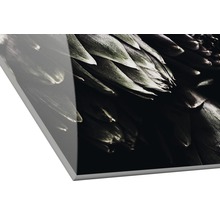 Close-up van een acrylglasplaat met plantmotief