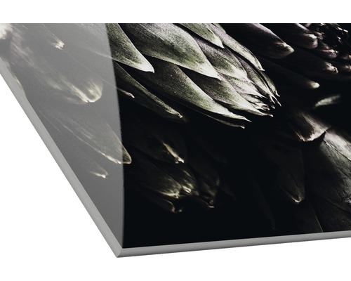 Close-up van een acrylglasplaat met plantmotief