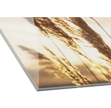 Acrylglasfoto met gras motief
